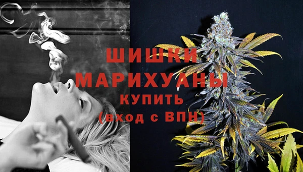 ПСИЛОЦИБИНОВЫЕ ГРИБЫ Наволоки