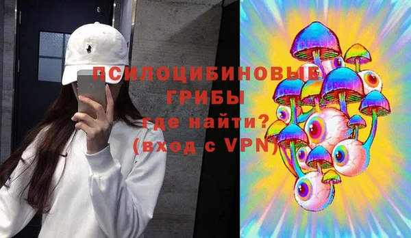 ПСИЛОЦИБИНОВЫЕ ГРИБЫ Наволоки