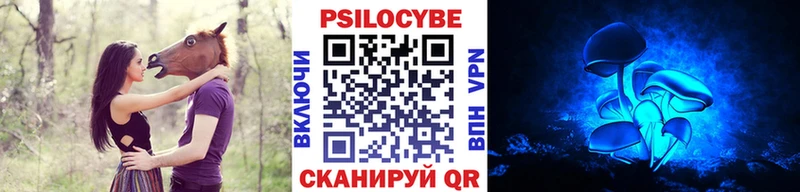 Псилоцибиновые грибы Psilocybine cubensis  Купить где  Сухой Лог 